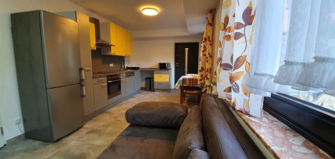 Wohnung Lena: Küchenbereich mit Sofa und Essplatz