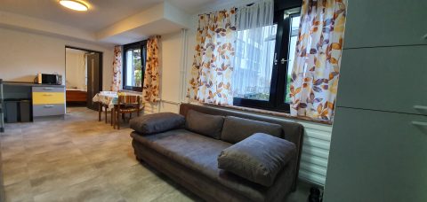 Wohnung Lena: Wohnbereich mit Sofa, Tisch und Küche